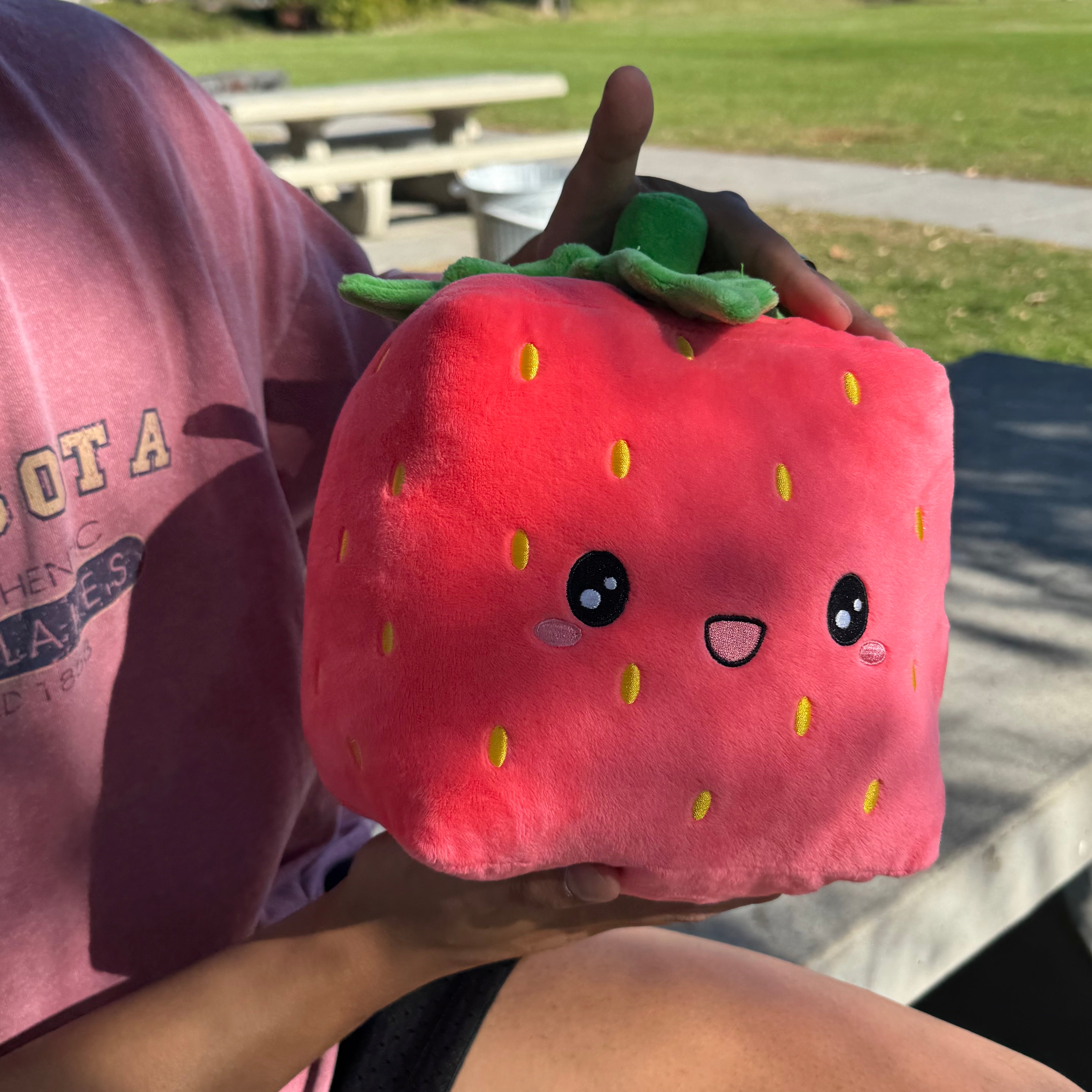 Ichigo Cube Plush (Strawberry)